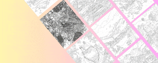 Animated image showing a series of grayscale, sketch-style rectangles with various abstract and natural patterns on a pastel yellow and pink gradient background.