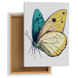 Vibrant Wings Butterfly
