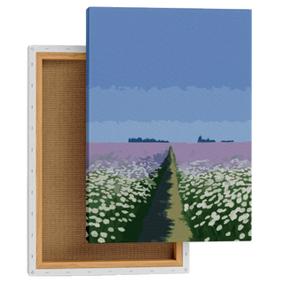 Daisy Meadow Path