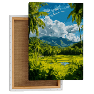 Tropical Rice Field View