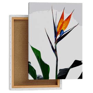 Tropical Bird Blossom