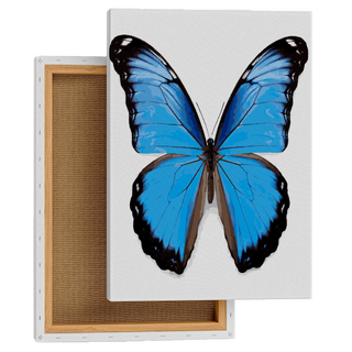 Blue Elegance Butterfly
