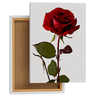 Velvet Rose Elegance